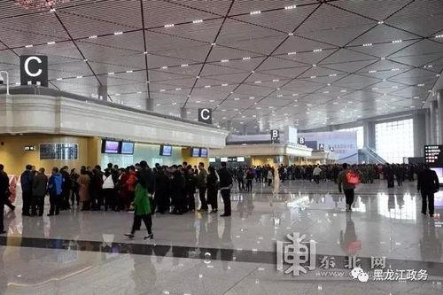 哈尔滨机场最新爆料,揭秘神秘扩建计划与未来展望