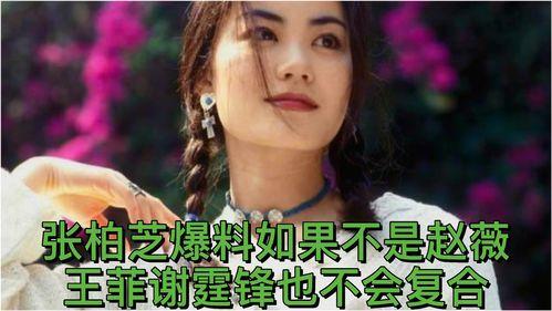 张柏芝赵薇爆料视频在线观看,娱乐圈内幕大揭秘 第3张 张柏芝赵薇爆料视频在线观看,娱乐圈内幕大揭秘 第3张