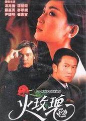 电视剧火玫瑰在线观看,激情燃烧的岁月，在线重温经典剧集