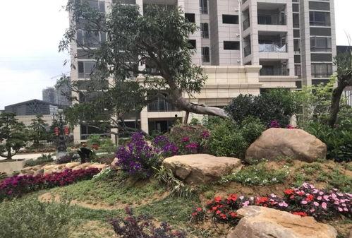 联兴花园事件爆料回应视频,真相与争议的交锋 第2张 联兴花园事件爆料回应视频,真相与争议的交锋 第2张